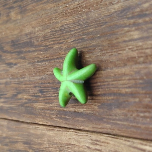 Green starfish charm - Picture 2 of 2